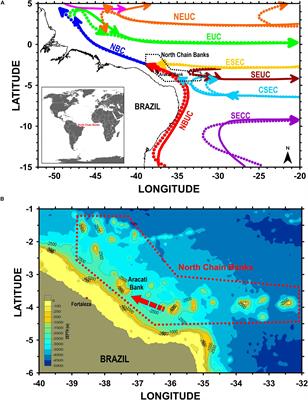 Ocean Dynamics and Topographic Upwelling Around the Aracati Seamount - North Brazilian Chain From in situ Observations and Modeling Results